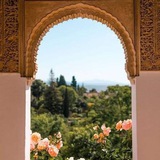 الجنة دار السلام 🤍 🌿
