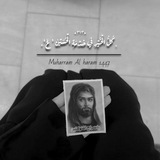 «٣١٣»