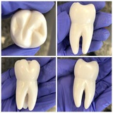 نونيات 𝒏𝒐𝒏𝒆𝒚𝒂𝒕 🦷