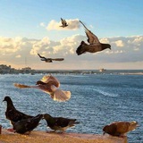 نور القرآن