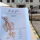 صحة بالغين نظري " أدلت"