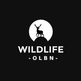 Wildlife OLBN ™ 🐘 Animals <i class="emoji" style="backg