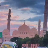 القارئ محمد الفقيه