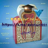 "The Best Dentists 1"