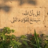 Ahmed Warran