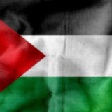 Update Palestina ๐ต๐ธ