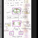 Pharmacology notes