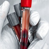 موسوعات مخبرية 🩸 🔬