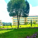 Salale University (CSSH)