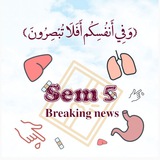 Sem6 Breaking News 🎉