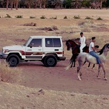 كريزما الحويطي ابو عيد ᵛ⁸.