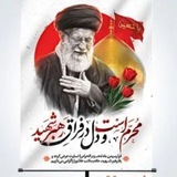 انصارالمهدے(عج)