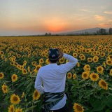 Hodiyev blogs