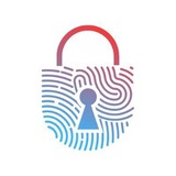 Daily Bounty Writeups