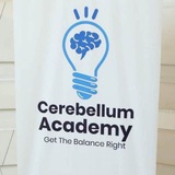 Cerebellum Academy Notes