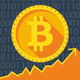 Bitcoin Sin Fronteras - ALERTAS