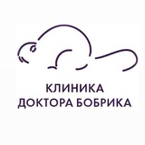 Клиника Доктора Бобрика