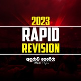 2023 RAPID REVISION | AP