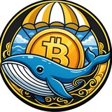 ๐ข Whale Finance Noticias