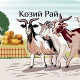 Козий рай 🐐 💖