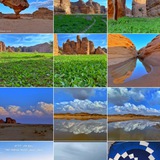 علي العنزي