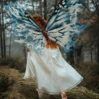 آثر الفَراشة 🦋