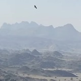 ردود علمية على المخالفين في التكفير