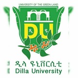 Dilla university info & all exams