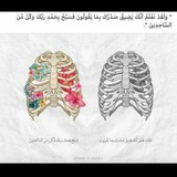 عبارات ،،، إنجليزية