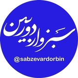 سبزوار دوربین