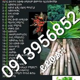 መርጌታ የባህል ህክምናና መድሀኒት ቀማሚ