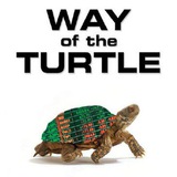 Way of the turtle