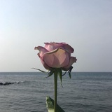 ْ 