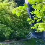 الظل الوارف 🌼 🍃