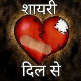 शायरी दिल से ❤️