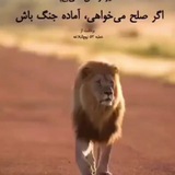 🇮🇷 دانش نظامی 🇮🇷