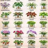 DICAS TOP DE JARDINAGEM