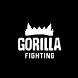 🥊 ММА & Единоборства | GORILLA FIGHTING