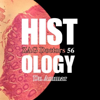 Histology Ammar | ๐๐๐ ๐๐จ๐๐ญ๐จ๐ซ๐ฌ 56
