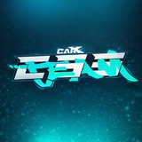 CSS • TEAM