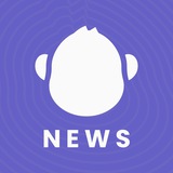 ApeBond News & Announcements