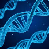 BioMedical Jobs
