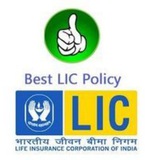 LIC BEST POLICY PLANS