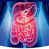 Gastroenterology and Hepatology Books