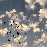 لا تبتئس 🦋
