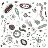 Microbiology II ( وزاري )