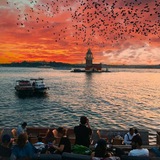 اقتباسات تركية مترجمة 🇹🇷