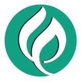 هنرمند