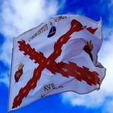 EJÉRCITO REMANENTE 🏹 NOTICIAS