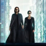 A FALHA DA MATRIX